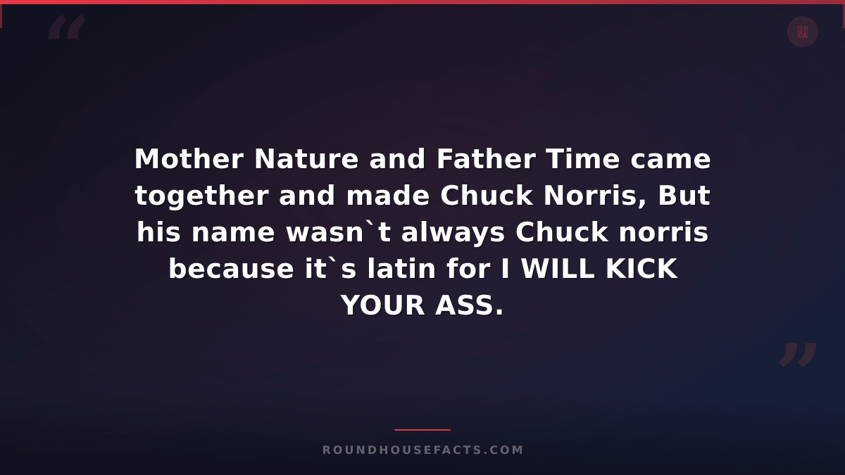 Chuck Norris Fact — Mother Nature and Father Time came together and made Chuck N