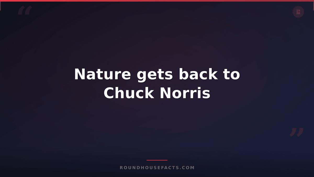 Chuck Norris Fact — Nature gets back to Chuck Norris