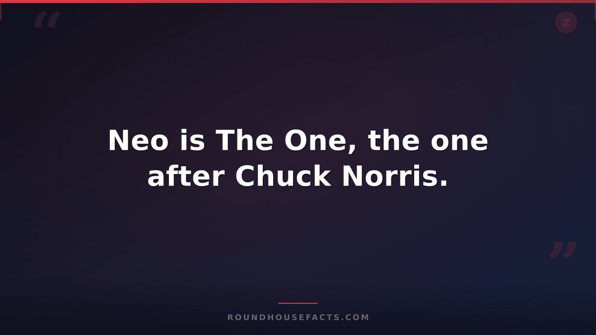 Chuck Norris Fact — Neo is The One, the one after Chuck Norris.