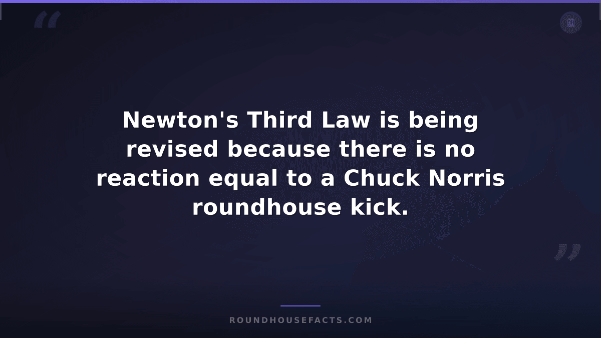 Chuck Norris Fact — Newton's Third Law is being revised because there is no reac