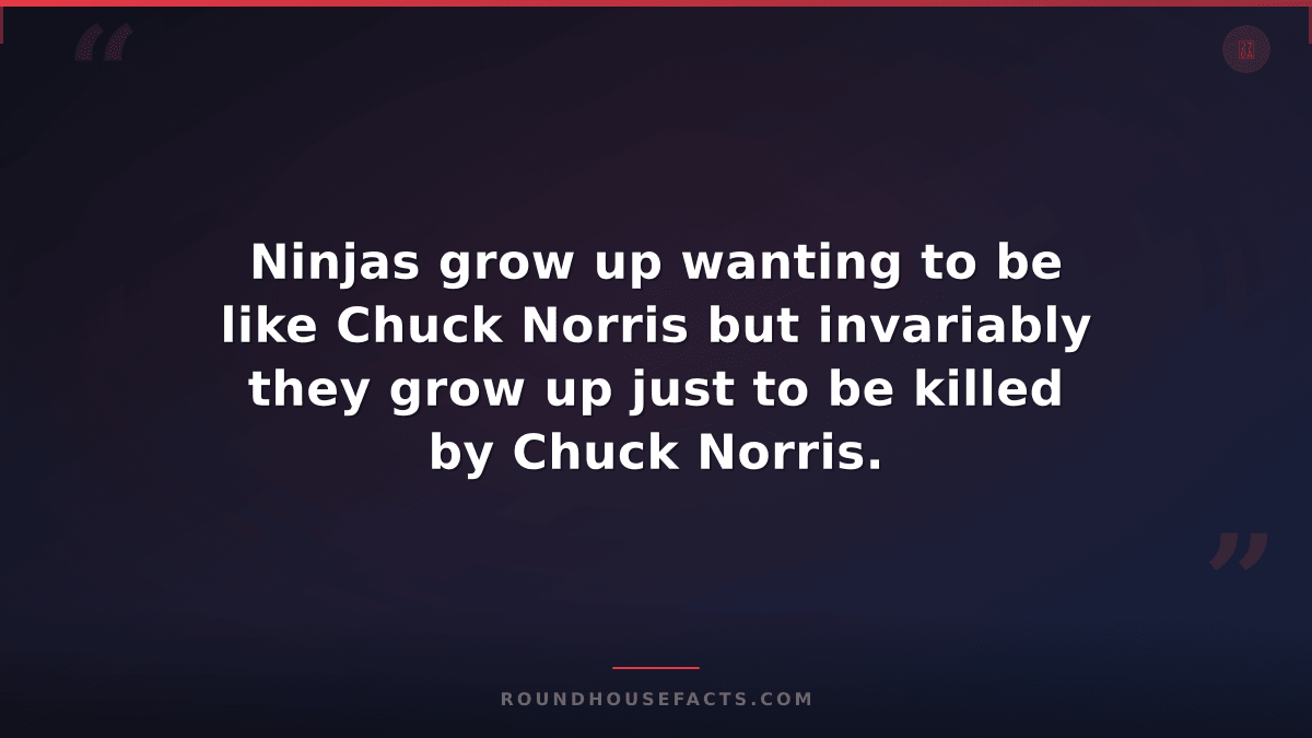Chuck Norris Fact — Ninjas grow up wanting to be like Chuck Norris but invariabl