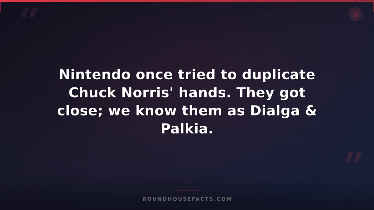 Chuck Norris Fact — Nintendo once tried to duplicate Chuck Norris' hands. They g