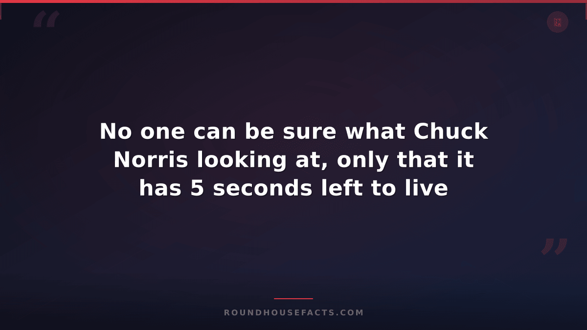 Chuck Norris Fact — No one can be sure what Chuck Norris looking at, only that i