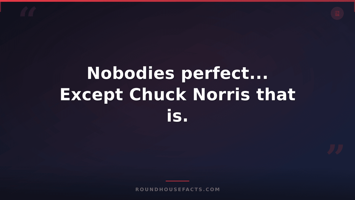 Chuck Norris Fact — Nobodies perfect... Except Chuck Norris that is.