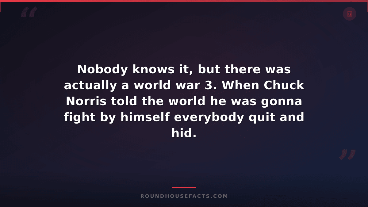 Chuck Norris Fact — Nobody knows it, but there was actually a world war 3. When