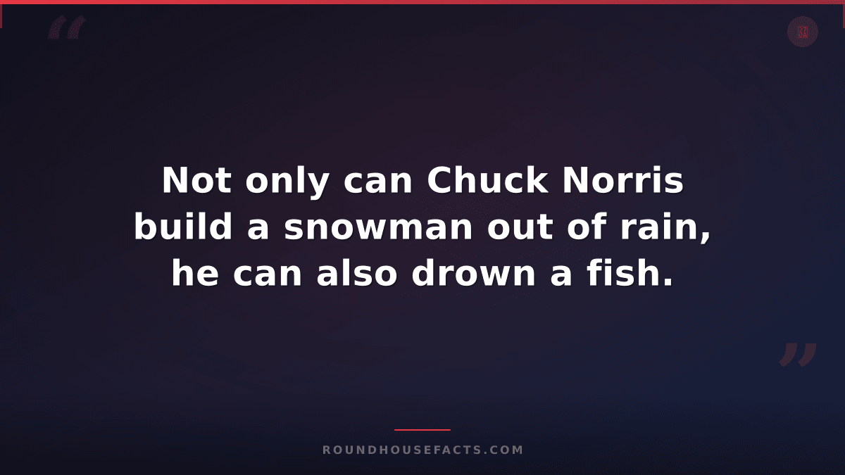 Chuck Norris Fact — Not only can Chuck Norris build a snowman out of rain, he ca