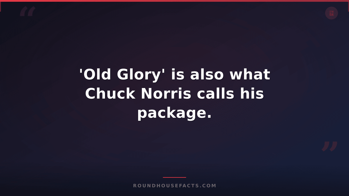 Chuck Norris Fact — 'Old Glory' is also what Chuck Norris calls his package.