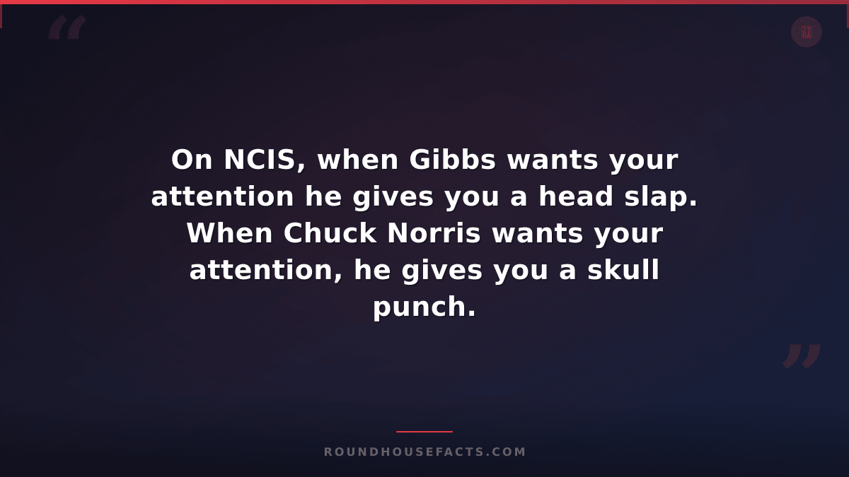 Chuck Norris Fact — On NCIS, when Gibbs wants your attention he gives you a head