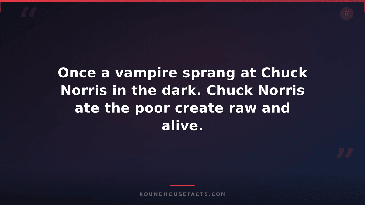 Chuck Norris Fact — Once a vampire sprang at Chuck Norris in the dark. Chuck Nor