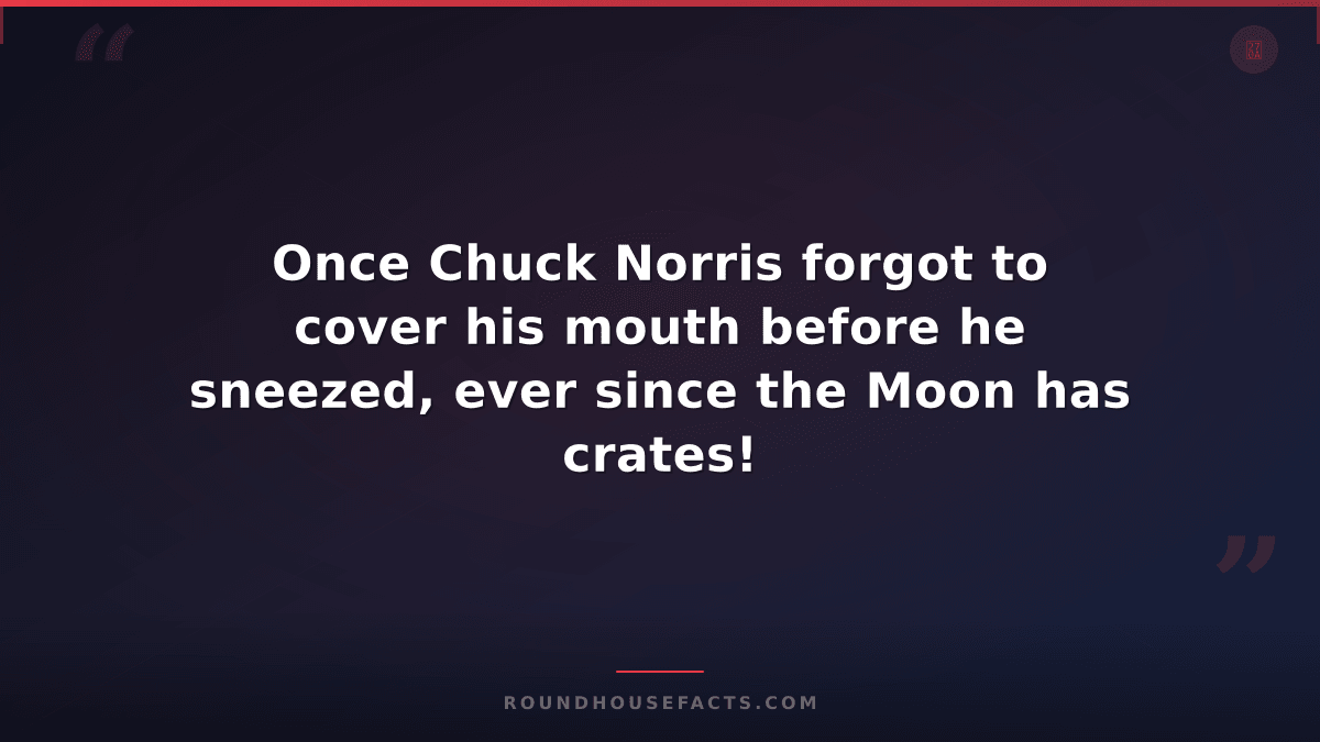Chuck Norris Fact — Once Chuck Norris forgot to cover his mouth before he sneeze