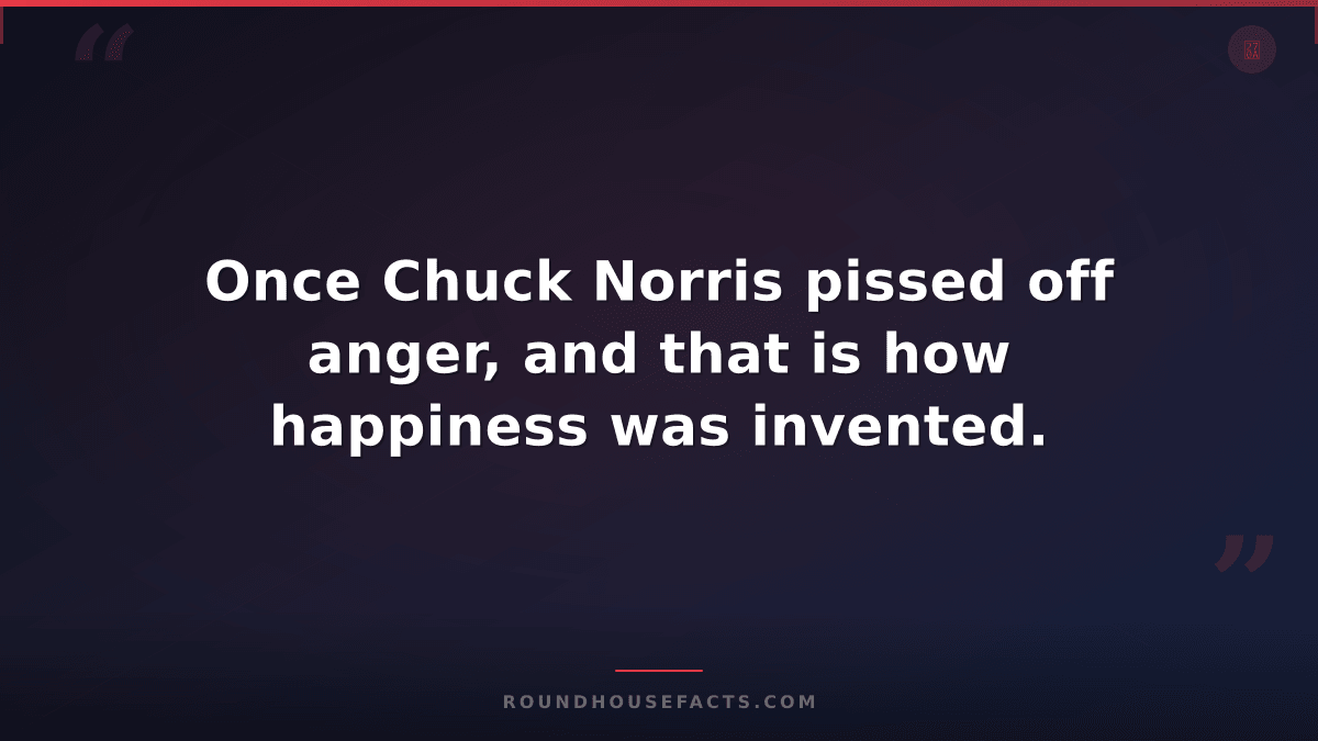 Chuck Norris Fact — Once Chuck Norris pissed off anger, and that is how happines