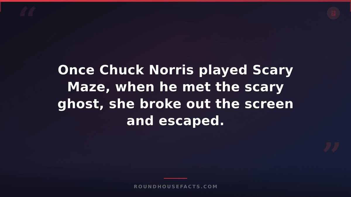 Chuck Norris Fact — Once Chuck Norris played Scary Maze, when he met the scary g