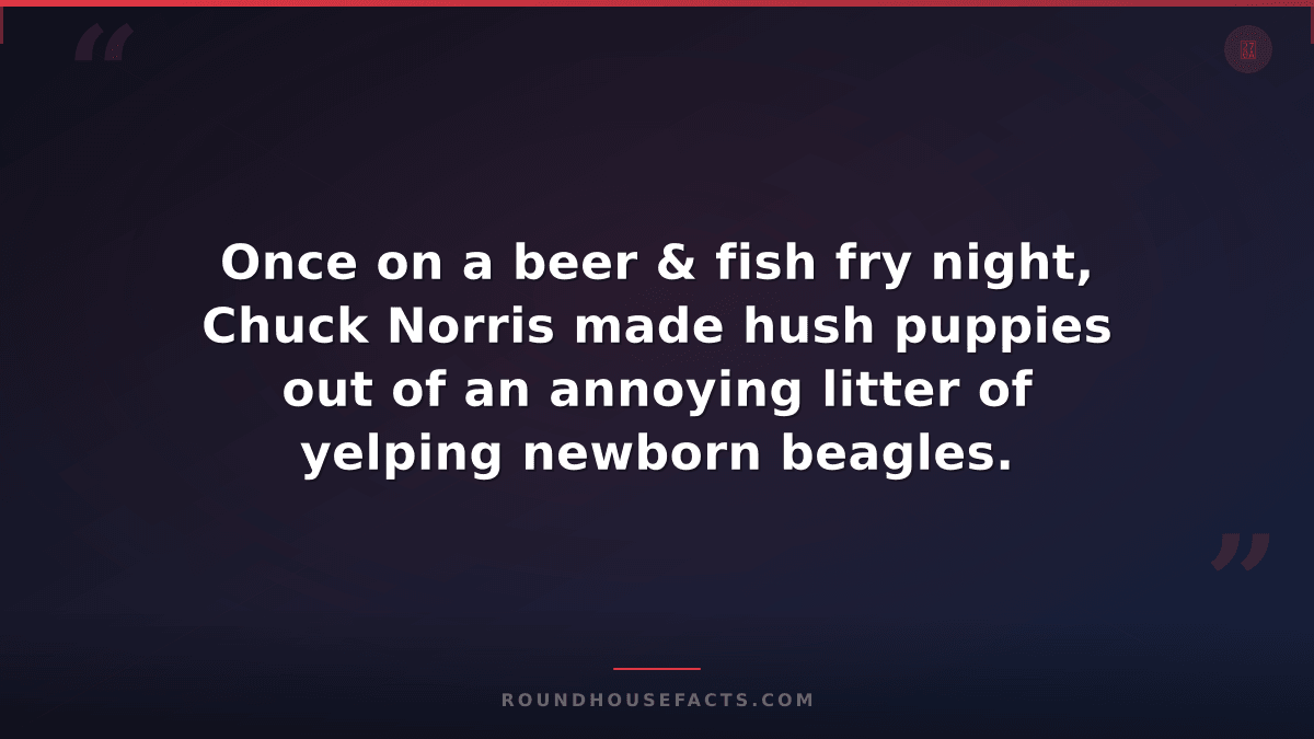 Chuck Norris Fact — Once on a beer & fish fry night, Chuck Norris made hush pupp