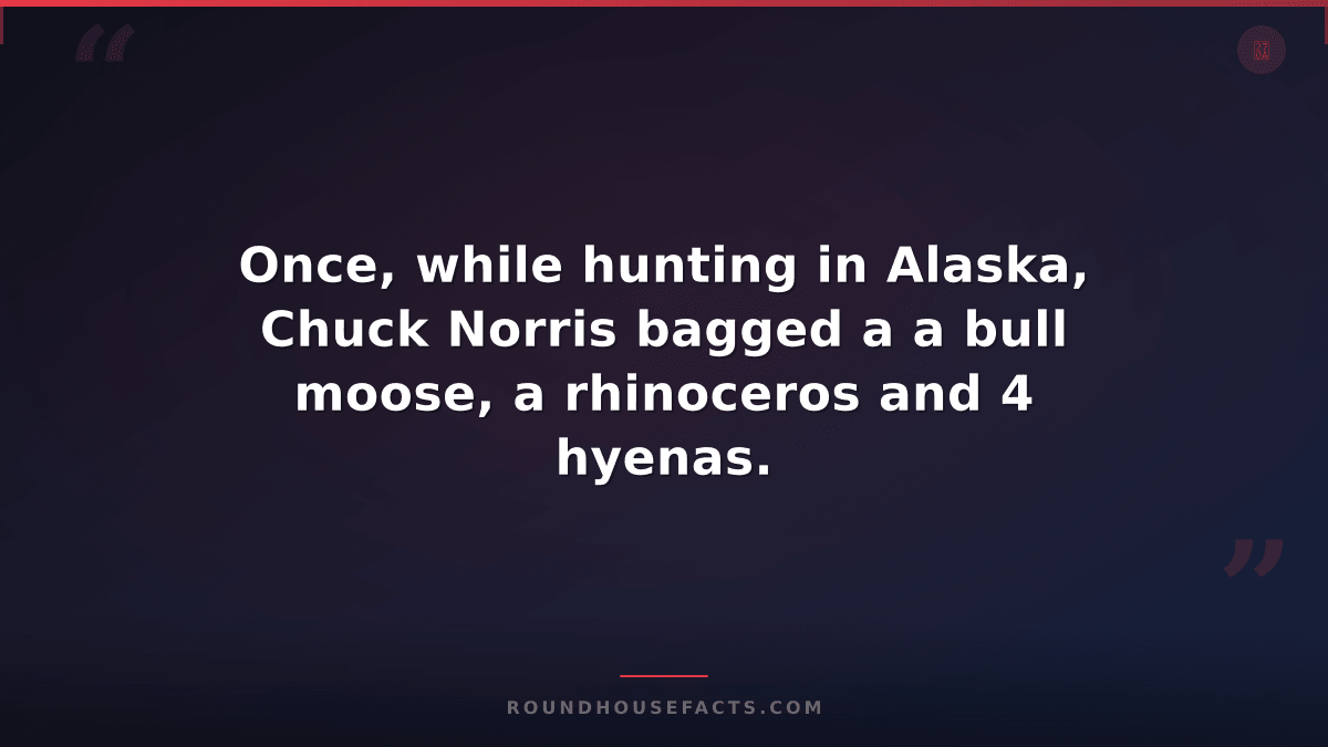 Chuck Norris Fact — Once, while hunting in Alaska, Chuck Norris bagged a a bull