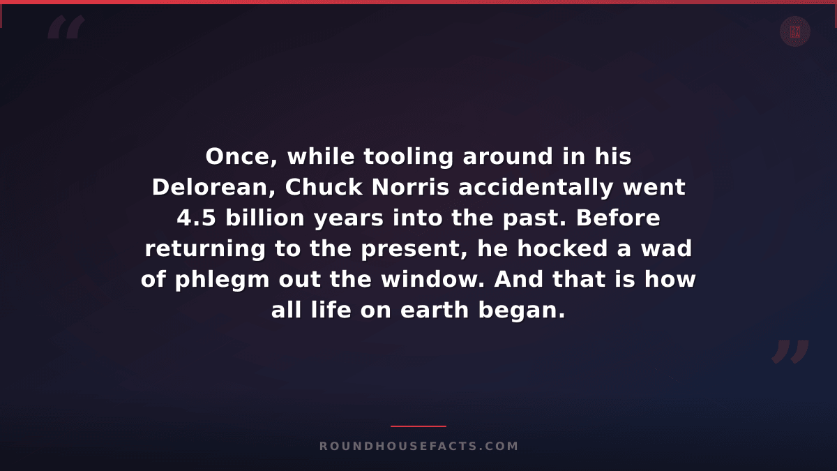 Chuck Norris Fact — Once, while tooling around in his Delorean, Chuck Norris acc