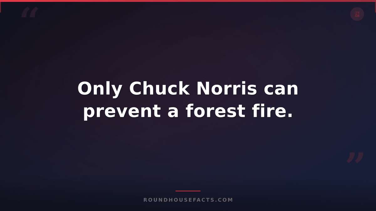 Chuck Norris Fact — Only Chuck Norris can prevent a forest fire.
