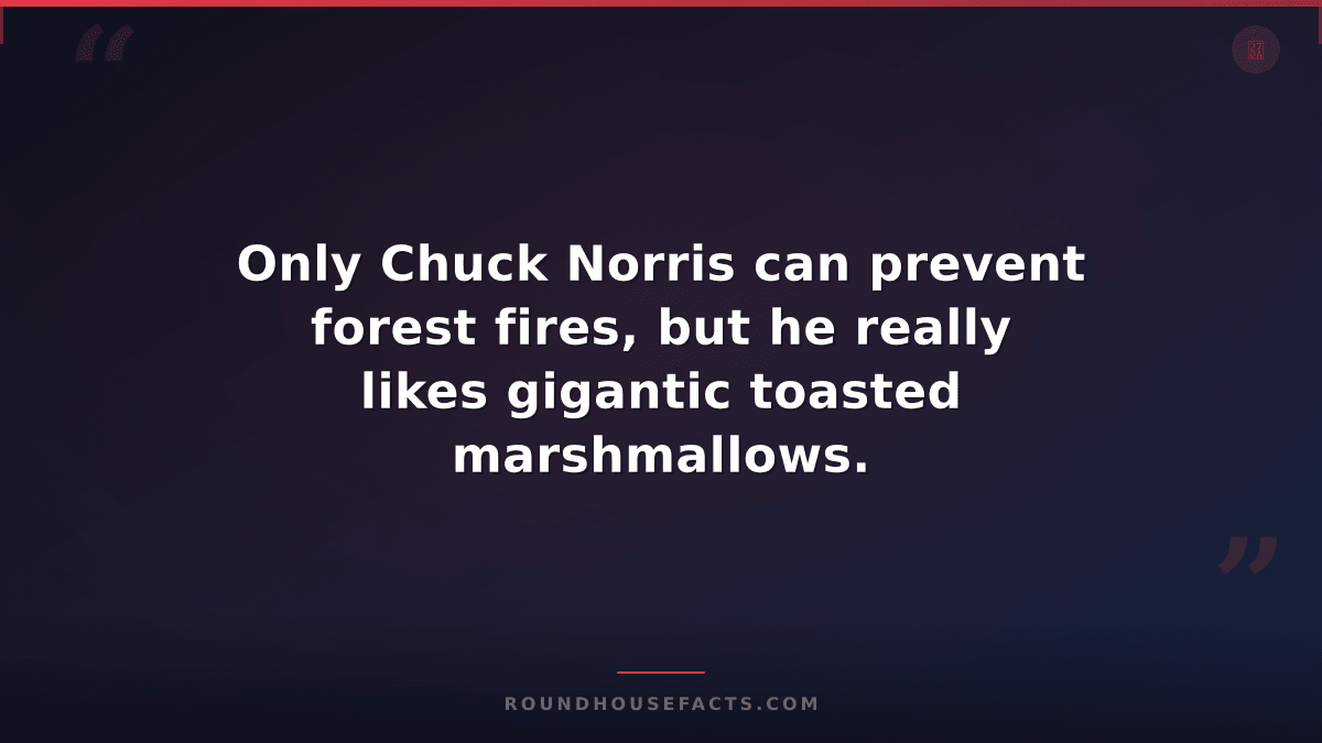 Chuck Norris Fact — Only Chuck Norris can prevent forest fires, but he really li
