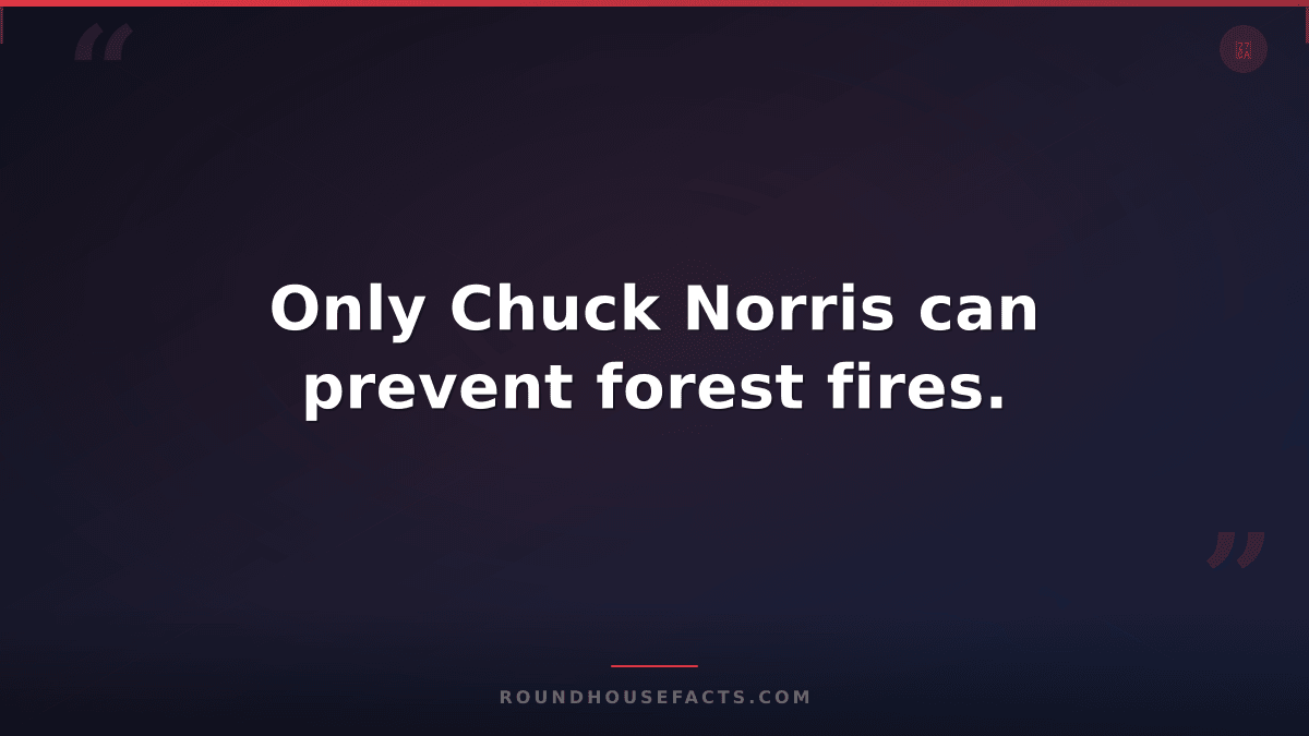 Chuck Norris Fact — Only Chuck Norris can prevent forest fires.