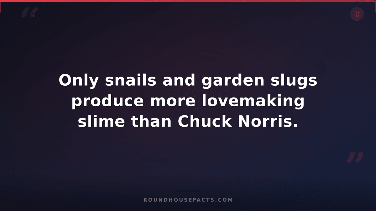 Chuck Norris Fact — Only snails and garden slugs produce more lovemaking slime t