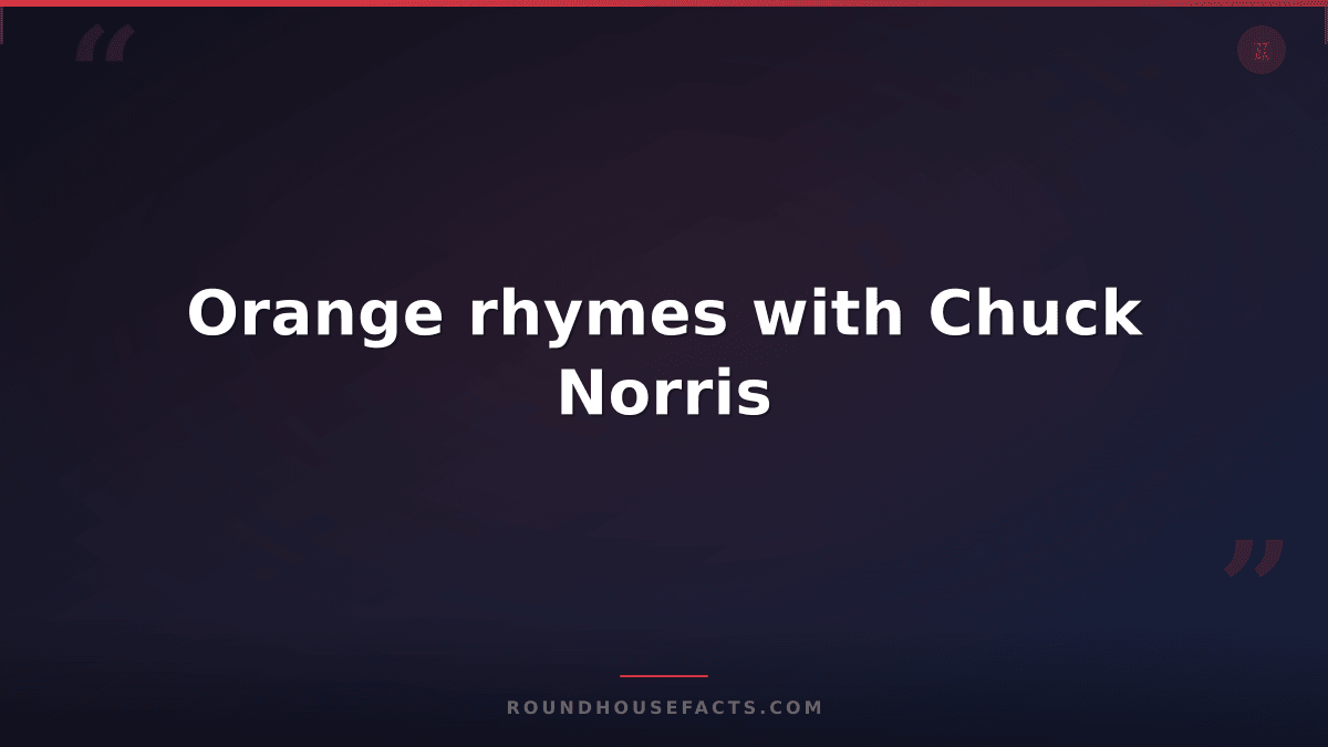 Chuck Norris Fact — Orange rhymes with Chuck Norris