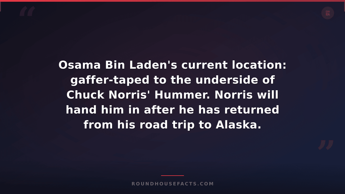 Chuck Norris Fact — Osama Bin Laden's current location: gaffer-taped to the unde