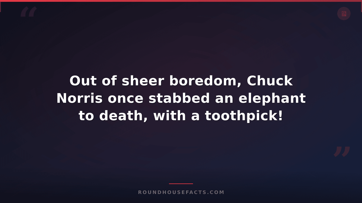 Chuck Norris Fact — Out of sheer boredom, Chuck Norris once stabbed an elephant