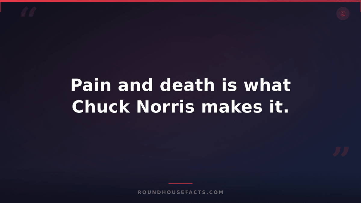 Chuck Norris Fact — Pain and death is what Chuck Norris makes it.