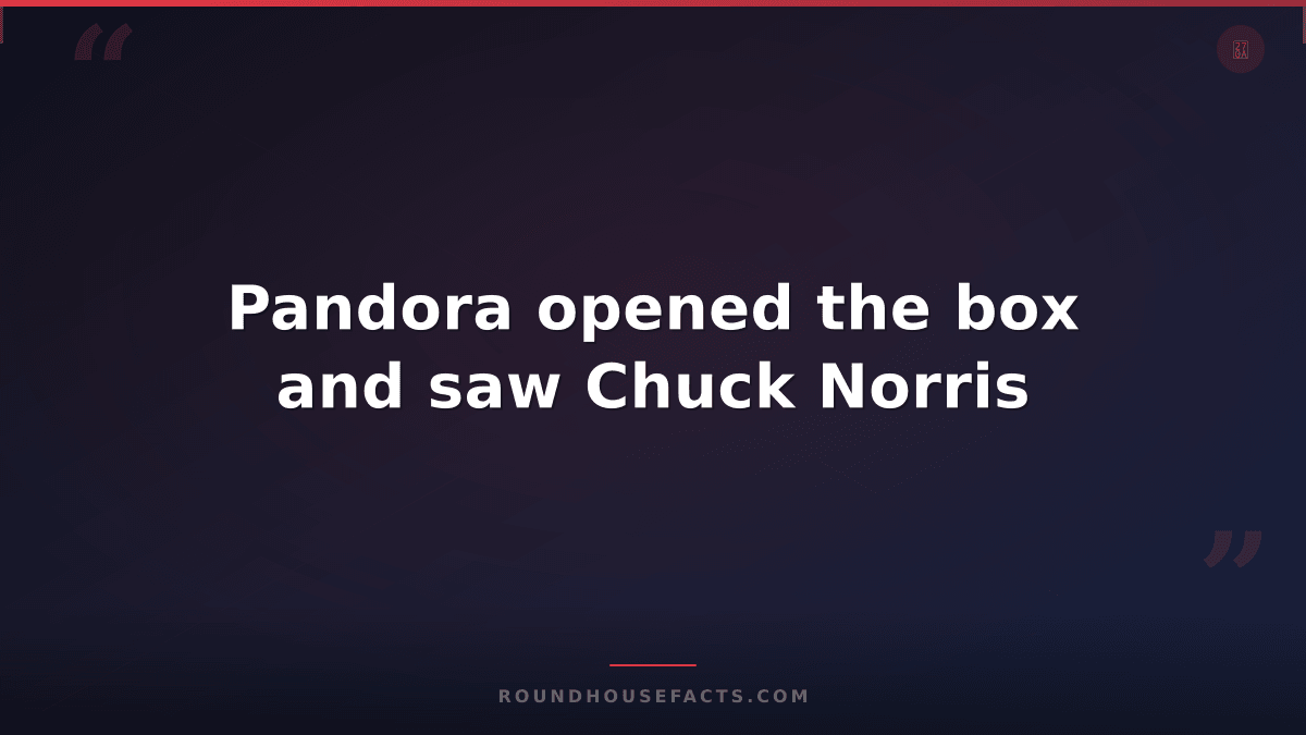 Chuck Norris Fact — Pandora opened the box and saw Chuck Norris