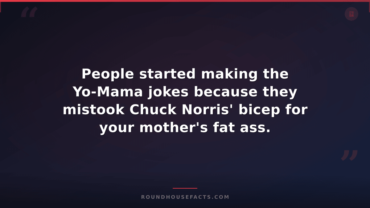 Chuck Norris Fact — People started making the Yo-Mama jokes because they mistook