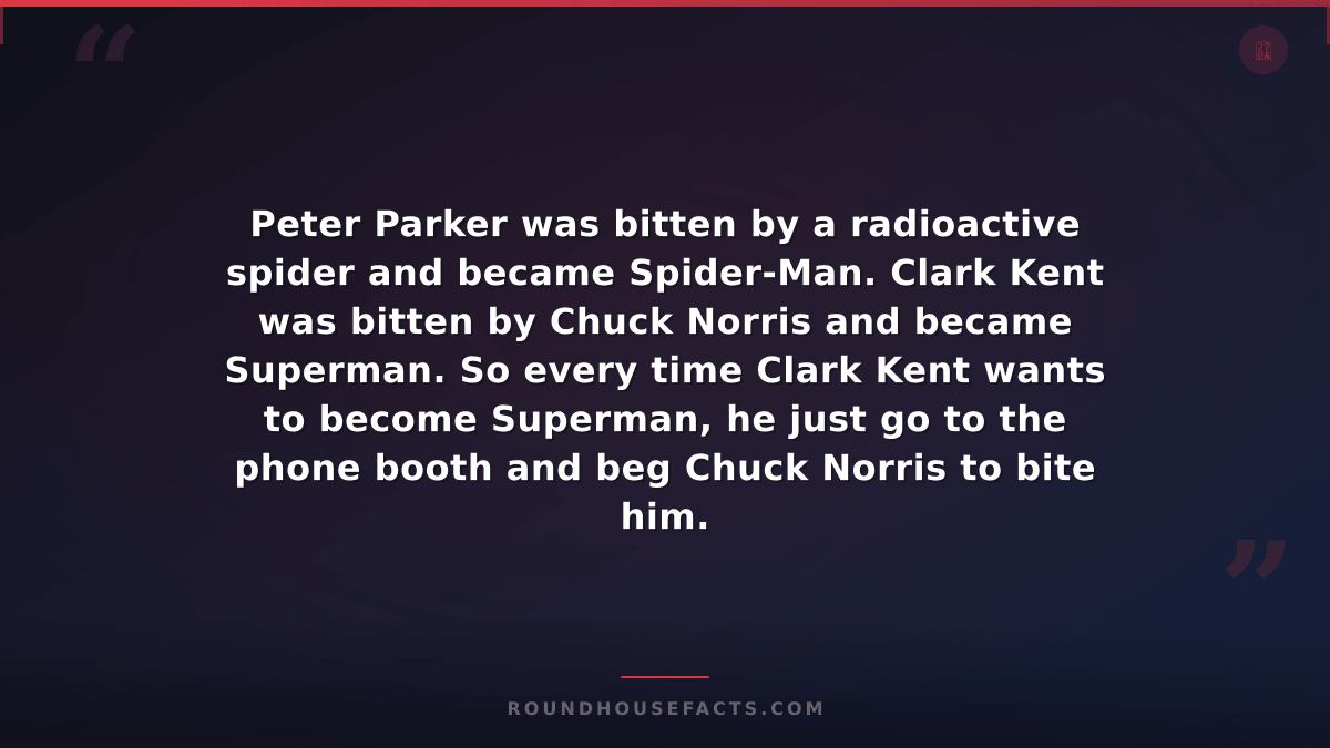 Chuck Norris Fact — Peter Parker was bitten by a radioactive spider and became S
