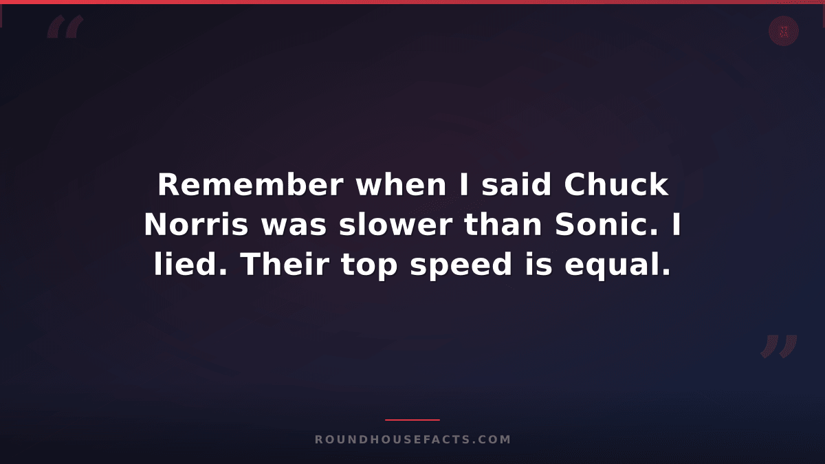 Chuck Norris Fact — Remember when I said Chuck Norris was slower than Sonic. I l