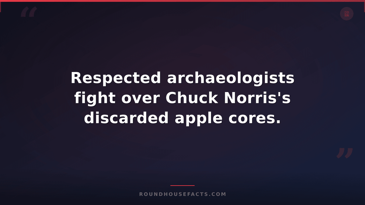 Chuck Norris Fact — Respected archaeologists fight over Chuck Norris's discarded