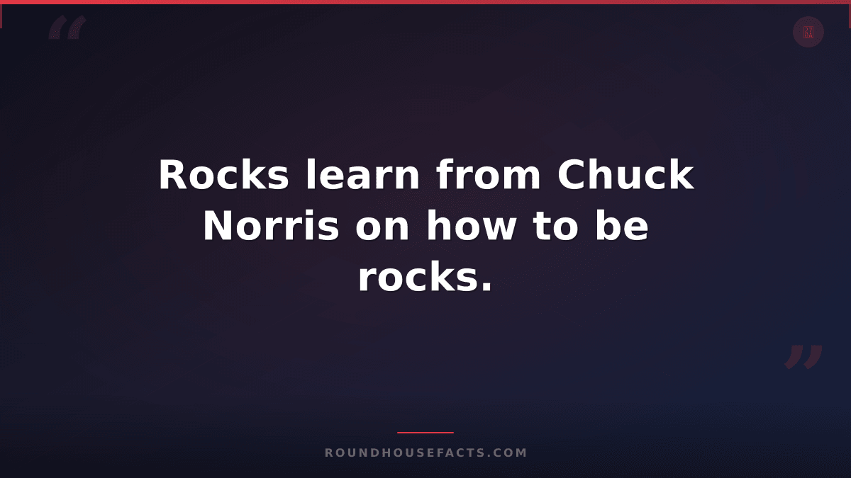 Chuck Norris Fact — Rocks learn from Chuck Norris on how to be rocks.