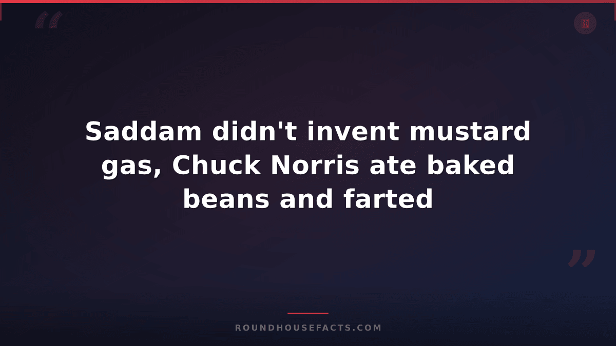Chuck Norris Fact — Saddam didn't invent mustard gas, Chuck Norris ate baked bea