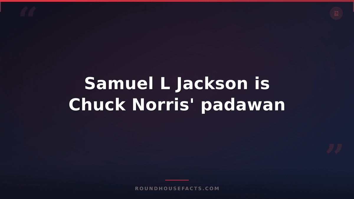Chuck Norris Fact — Samuel L Jackson is Chuck Norris' padawan