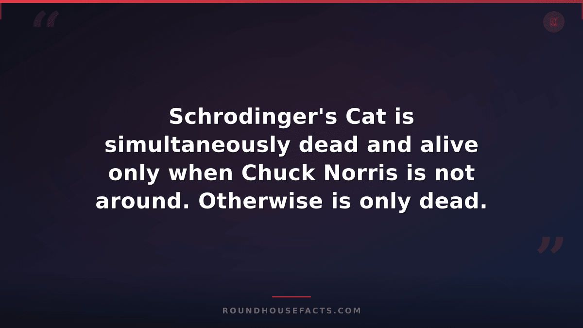 Chuck Norris Fact — Schrodinger's Cat is simultaneously dead and alive only when
