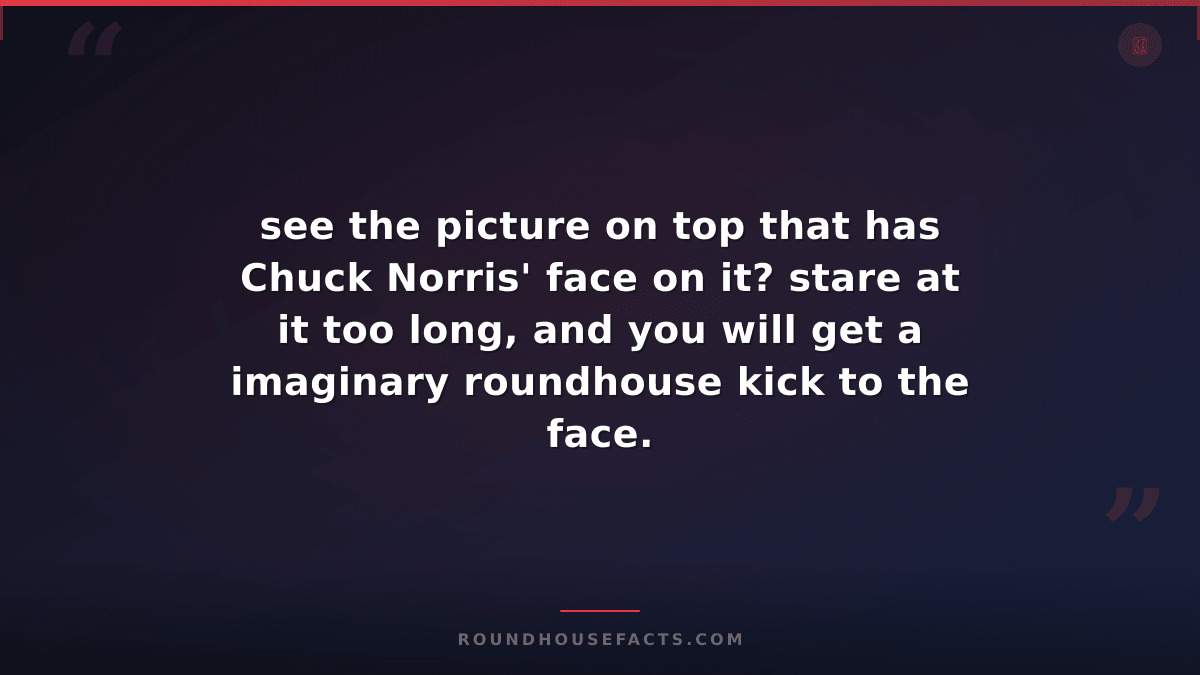 Chuck Norris Fact — see the picture on top that has Chuck Norris' face on it? st
