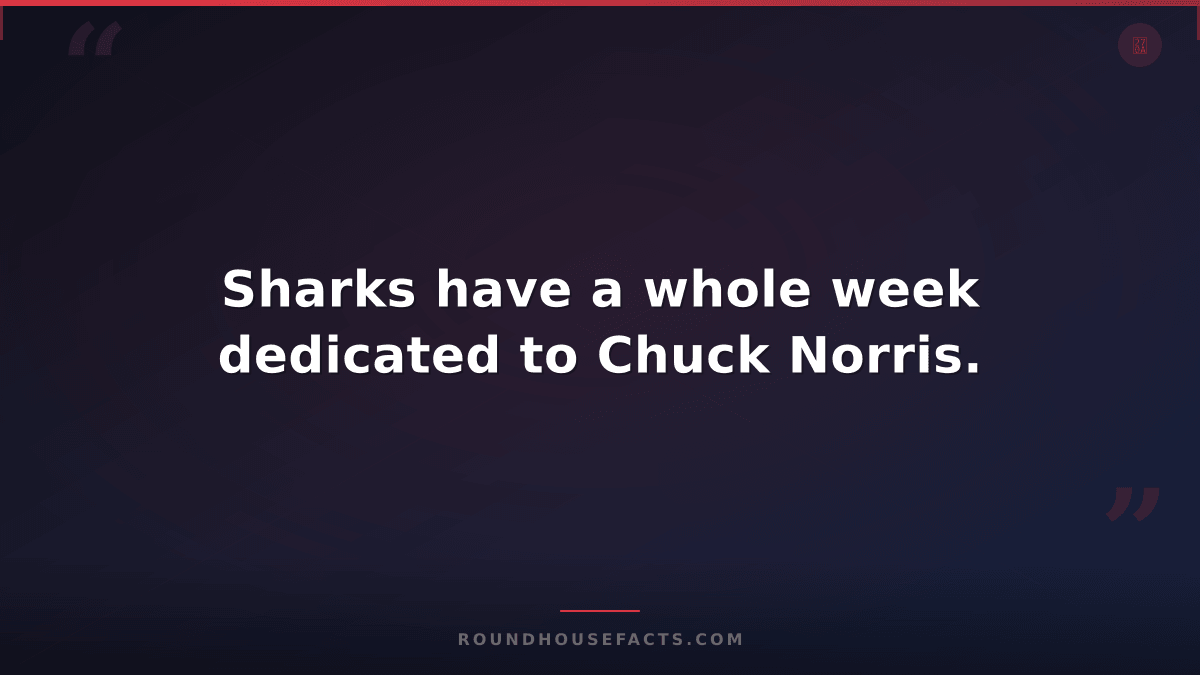 Chuck Norris Fact — Sharks have a whole week dedicated to Chuck Norris.