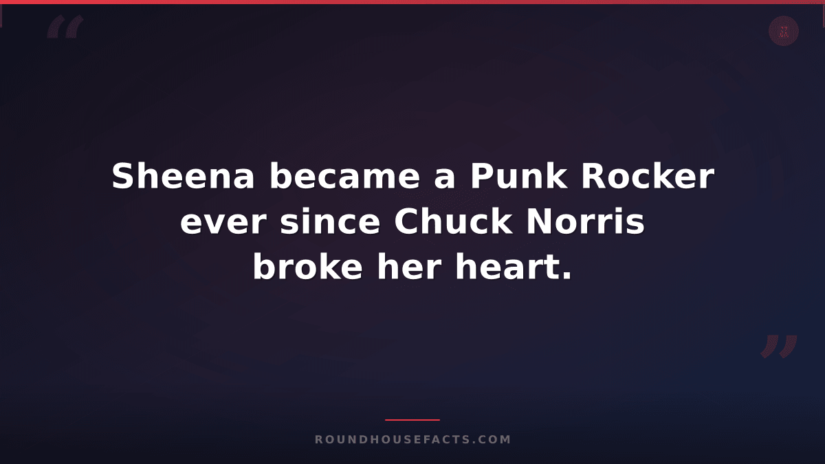 Chuck Norris Fact — Sheena became a Punk Rocker ever since Chuck Norris broke he
