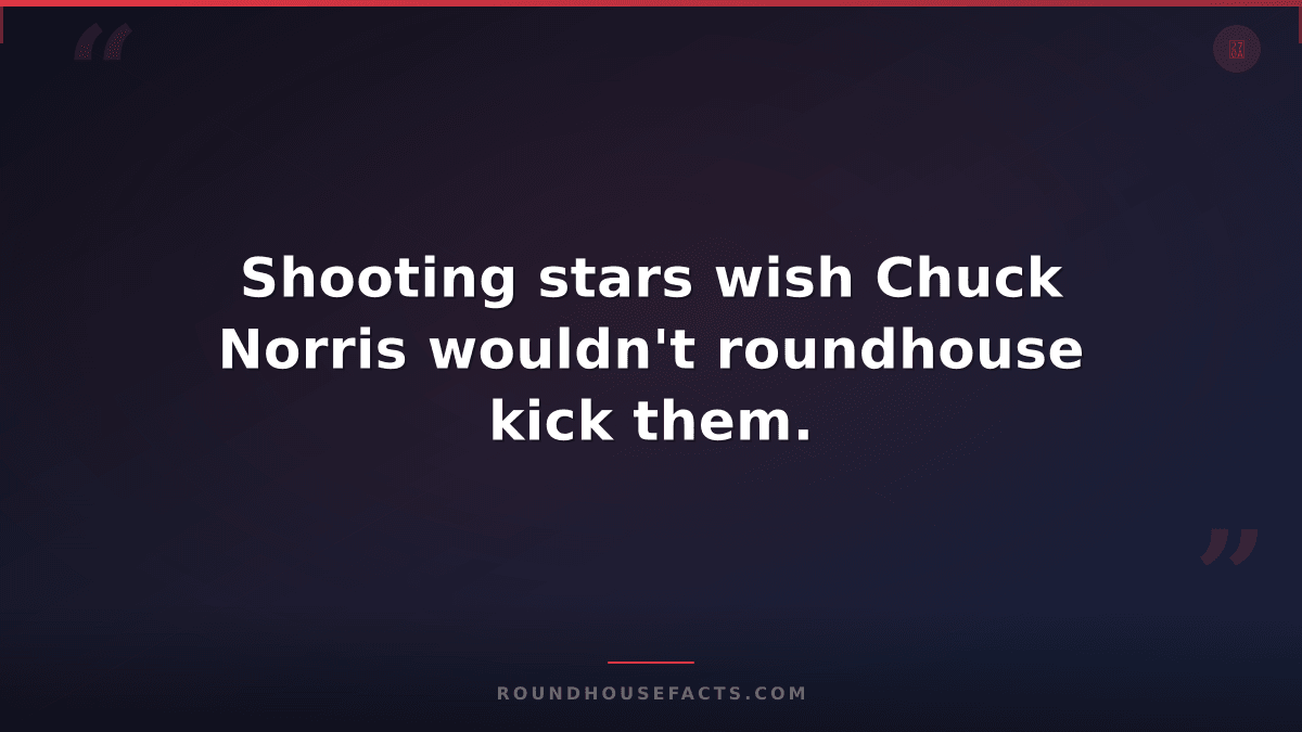 Chuck Norris Fact — Shooting stars wish Chuck Norris wouldn't roundhouse kick th