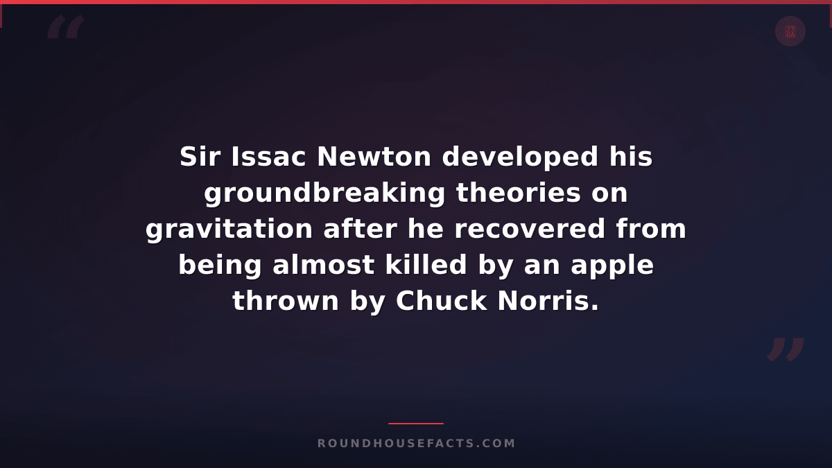Chuck Norris Fact — Sir Issac Newton developed his groundbreaking theories on gr