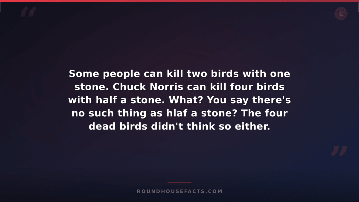Chuck Norris Fact — Some people can kill two birds with one stone. Chuck Norris