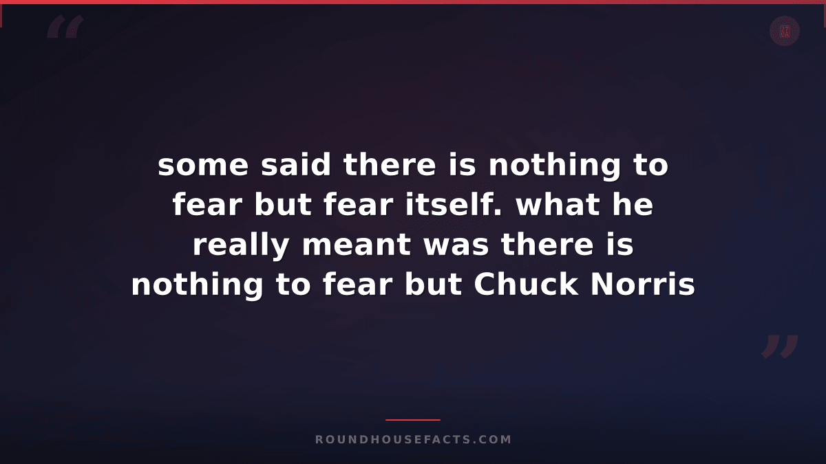 Chuck Norris Fact — some said there is nothing to fear but fear itself. what he