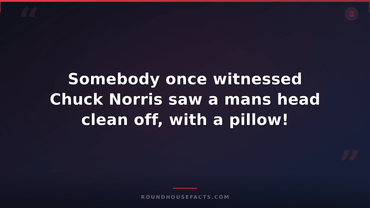 Chuck Norris Fact — Somebody once witnessed Chuck Norris saw a mans head clean o