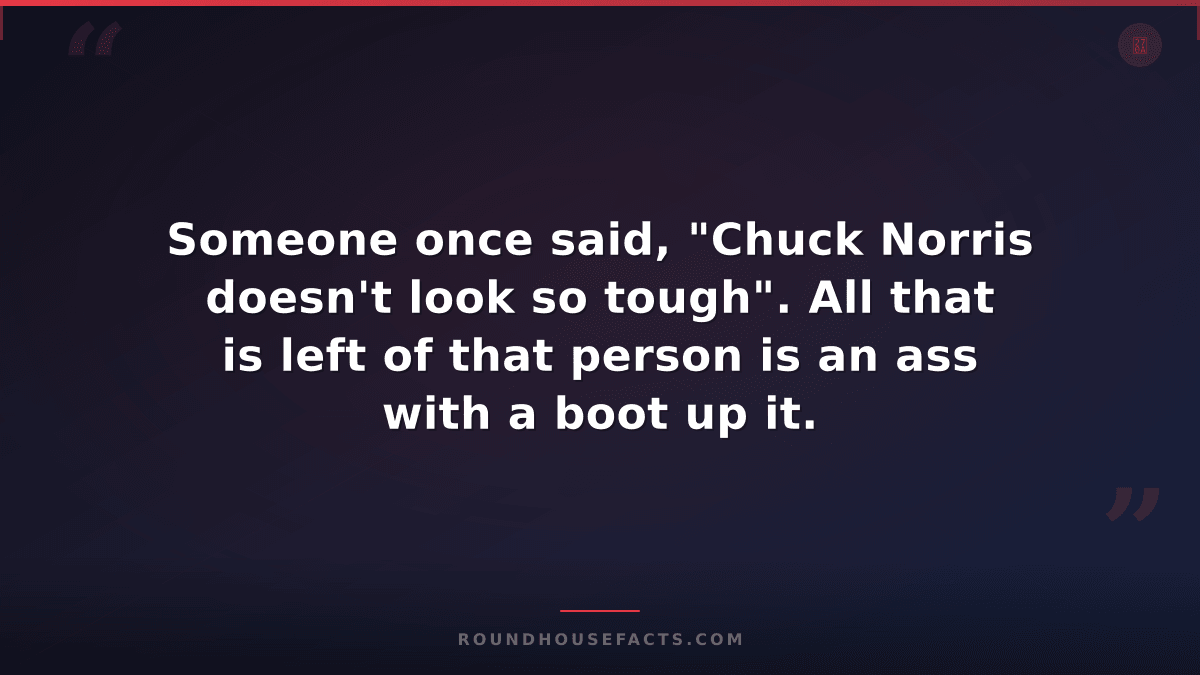 Chuck Norris Fact — Someone once said, "Chuck Norris doesn't look so tough". All