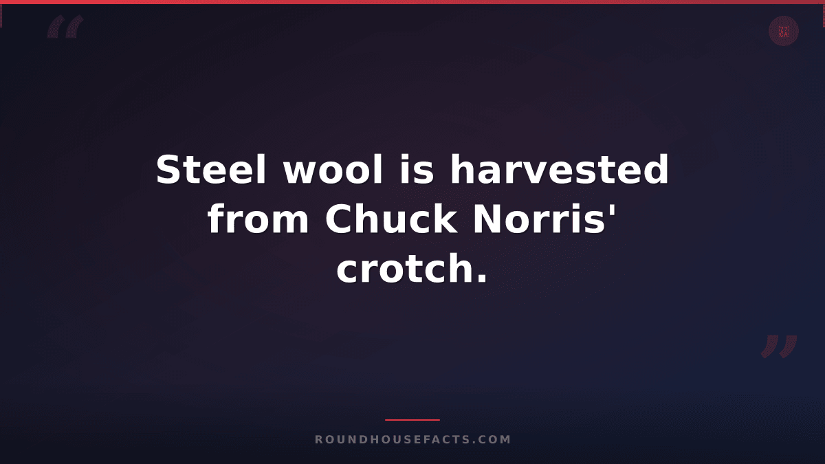 Chuck Norris Fact — Steel wool is harvested from Chuck Norris' crotch.