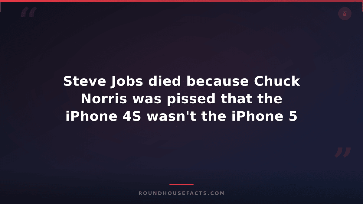 Chuck Norris Fact — Steve Jobs died because Chuck Norris was pissed that the iPh