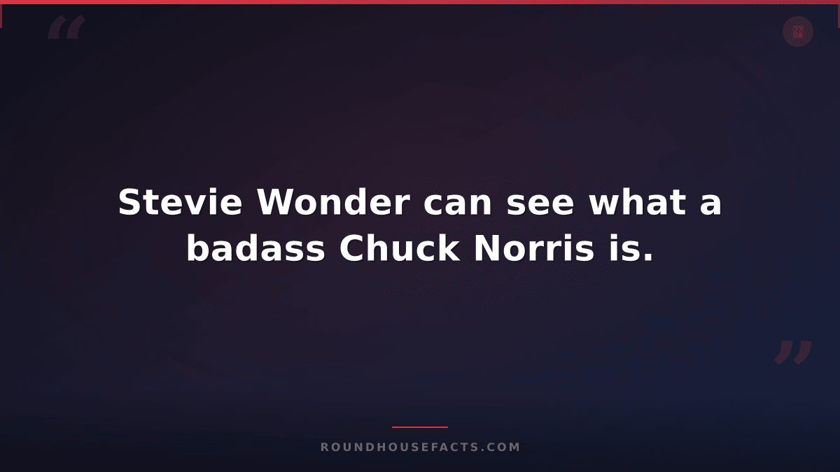 Chuck Norris Fact — Stevie Wonder can see what a badass Chuck Norris is.