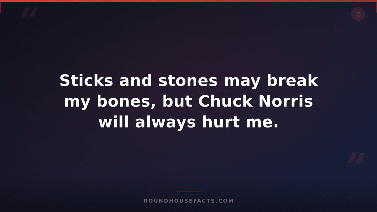 Chuck Norris Fact — Sticks and stones may break my bones, but Chuck Norris will