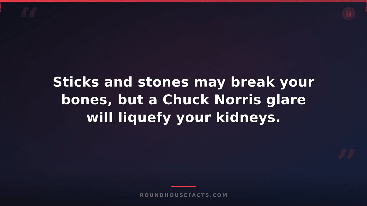 Chuck Norris Fact — Sticks and stones may break your bones, but a Chuck Norris g